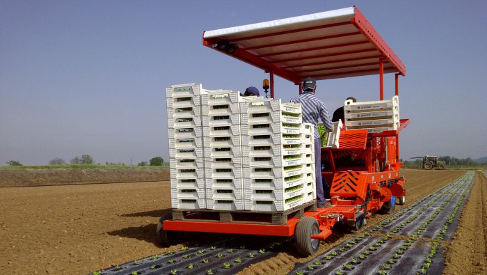 Ferrari plantmachines - M. Hulzebos Agri Evolution b.v.