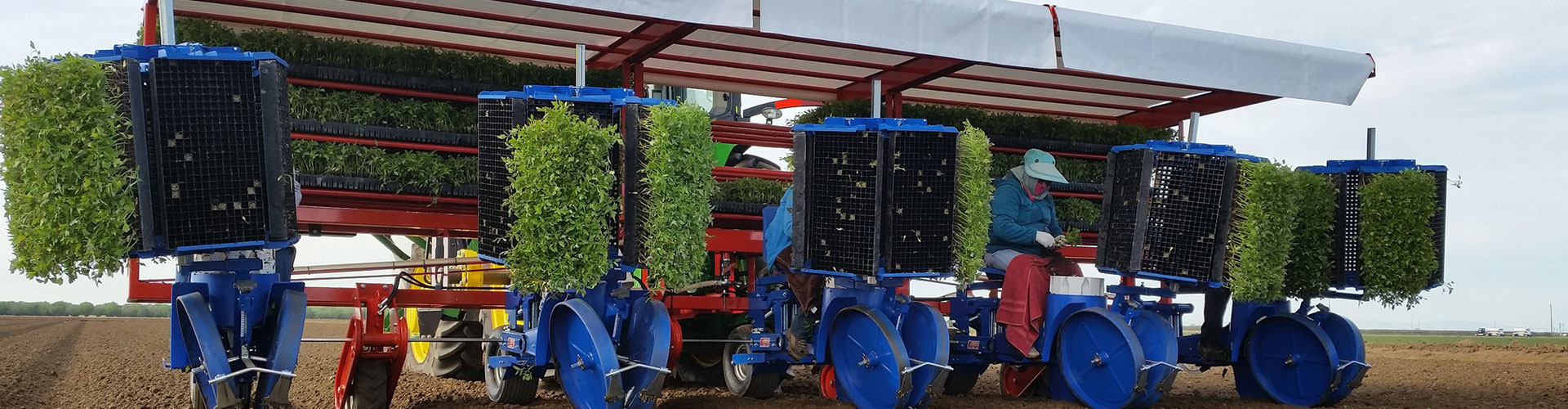 Ferrari plantmachines - M. Hulzebos Agri Evolution b.v.