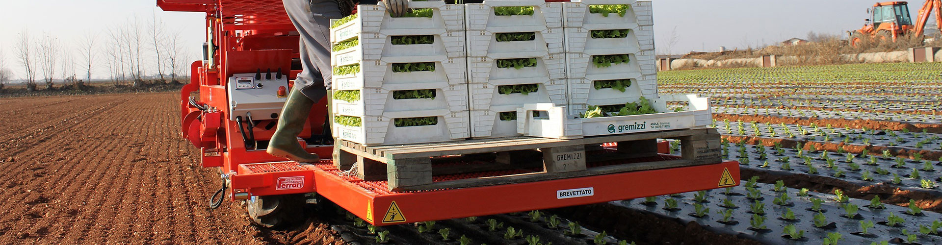 Ferrari plantmachines - M. Hulzebos Agri Evolution b.v.