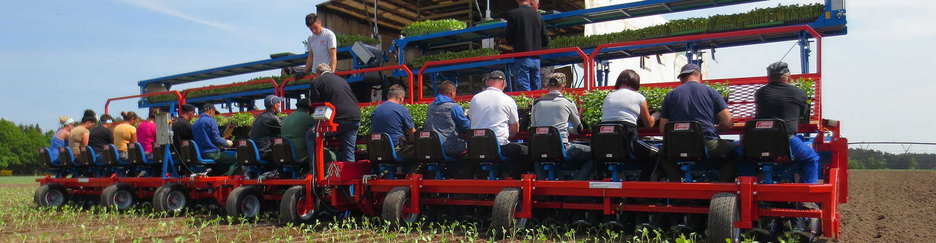 Ferrari plantmachines - M. Hulzebos Agri Evolution b.v.