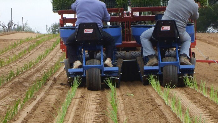 Ferrari plantmachines - M. Hulzebos Agri Evolution b.v.